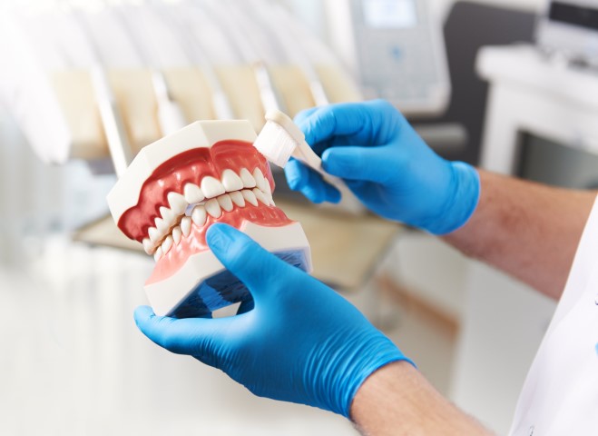 man holding implant dentures model